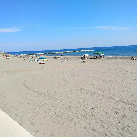 Tropicana & Sun * 토록스